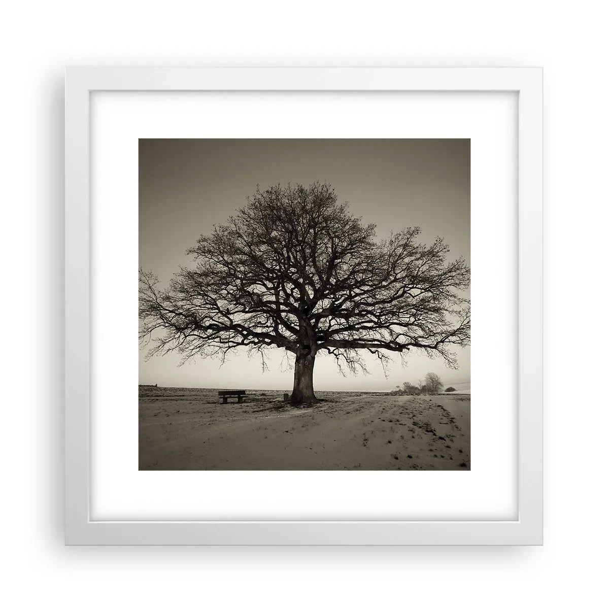 Plakat w białej ramie - Stąd do wieczności - 30x30 cm