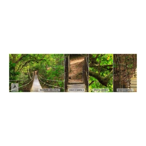 Fototapeta Próbka Samoprzylepna Deluxe Sticker - Bo w ogrodzie rośnie pnącze - Krajobraz, Las, Natura - 100x30 cm