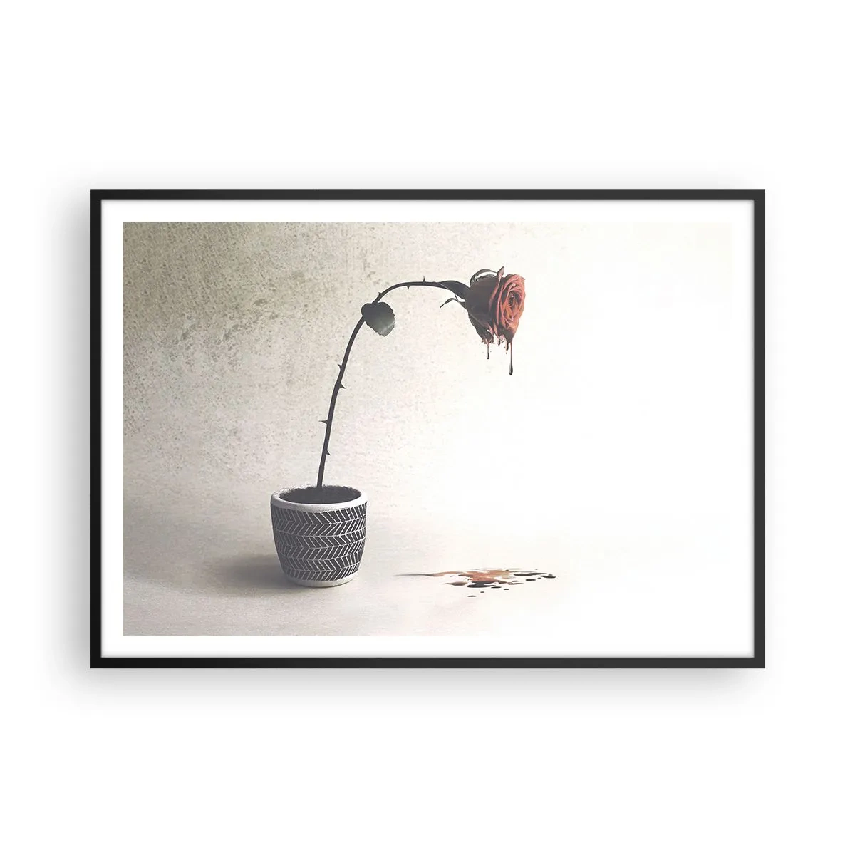 Plakat w czarnej ramie - Czerwona róża w doniczce z kroplami barwnika na białym tle - 100x70cm - Rosa dolorosa - Nowoczesna dekoracja ścienna do salonu i sypialni ARTTOR