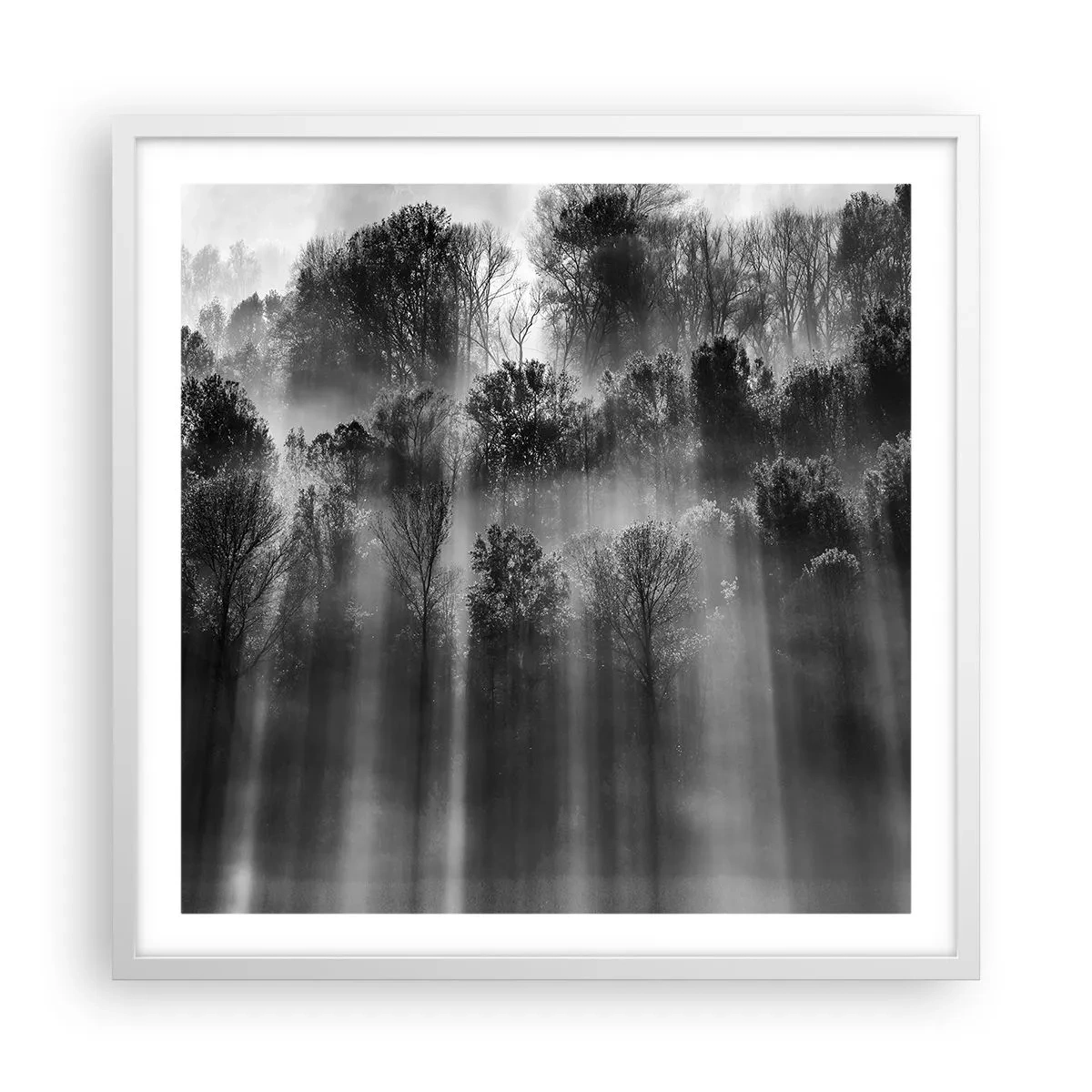Plakat w białej ramie - W strumieniach światła - 60x60 cm