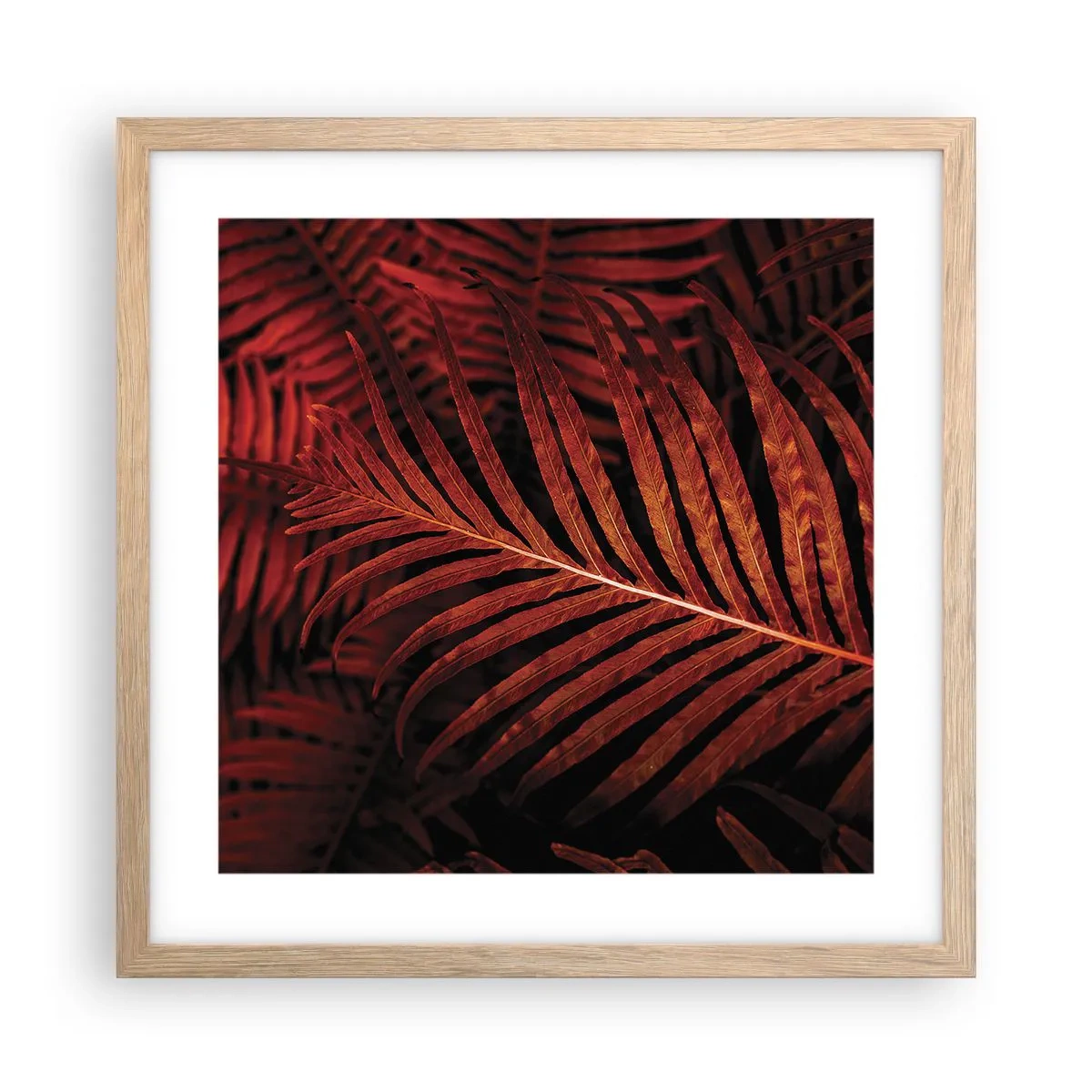 Plakat w ramie jasny dąb - Żar życia - 40x40 cm