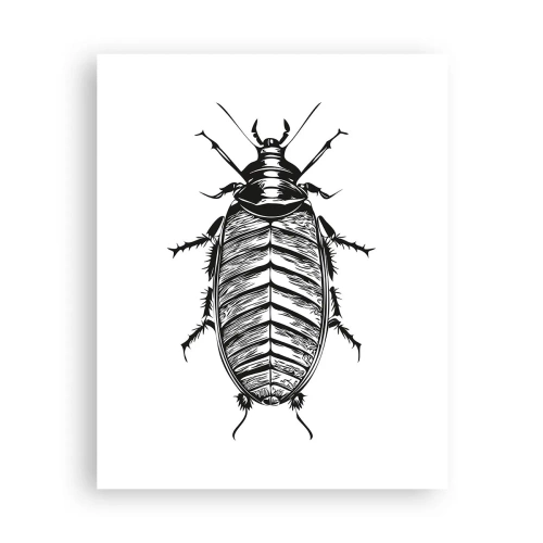 Plakat - Co za okaz! - 40x50 cm