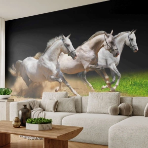 Fototapeta Premium Sand - Trzy Gracje - Konie, Zwierzęta, Galop - 400x280 cm