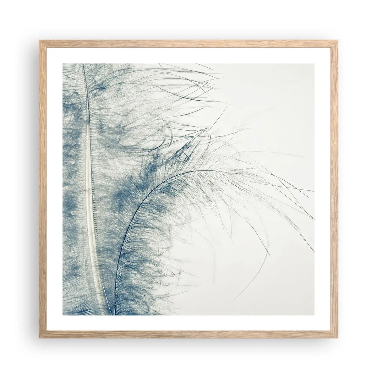 Plakat w ramie jasny dąb - Szept natury - 60x60 cm