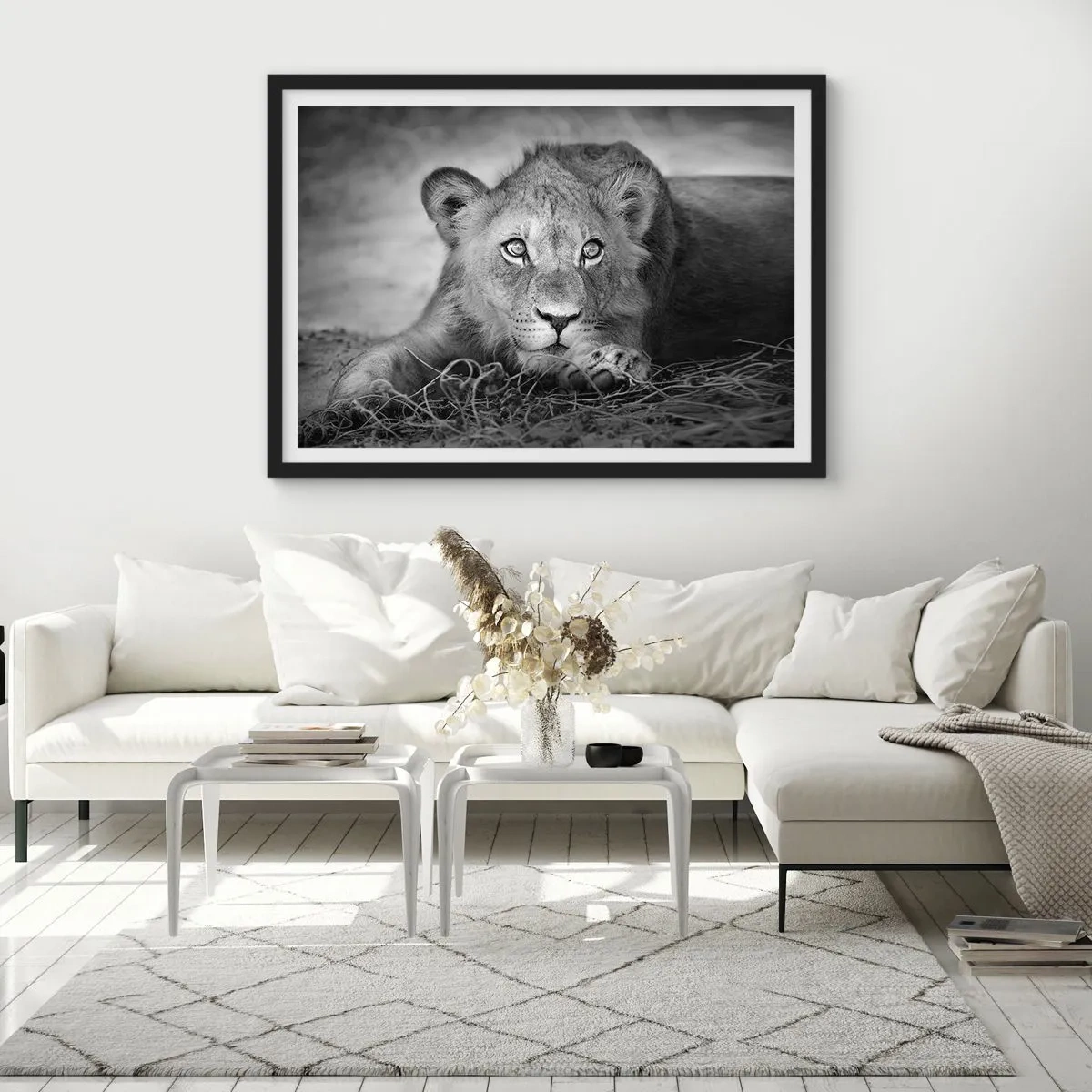 Plakat w czarnej ramie - Monochromatyczny portret leżącego młodego lwa - 70x50cm - Królewskie szczenię - Nowoczesna dekoracja ścienna do salonu i sypialni ARTTOR