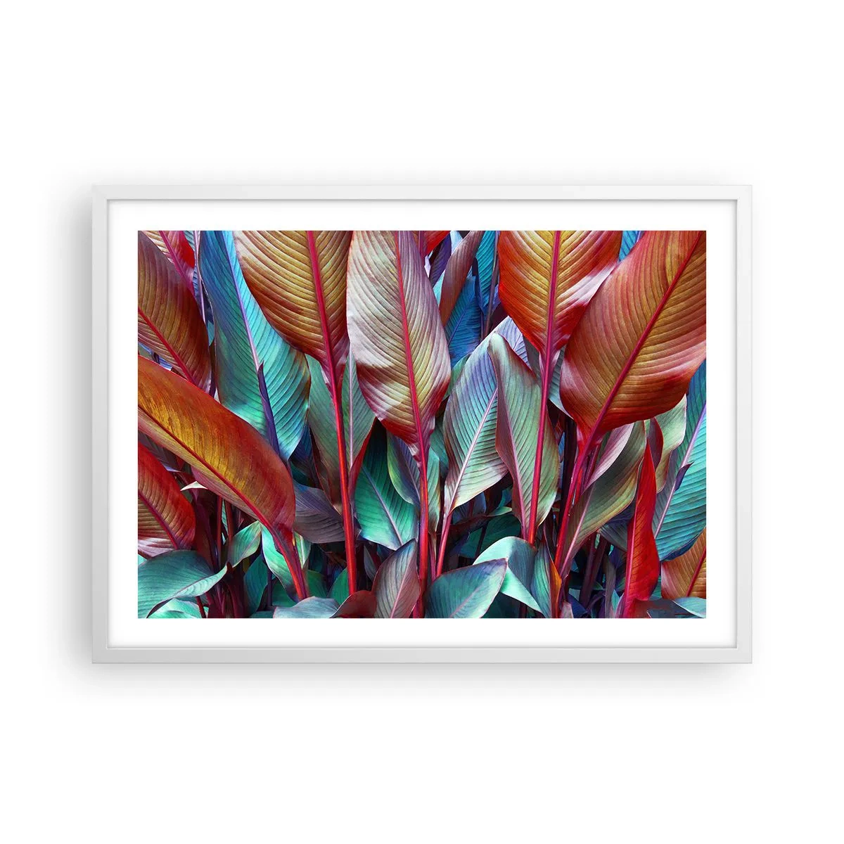 Plakat w białej ramie - Kolorowy gąszcz - 70x50 cm