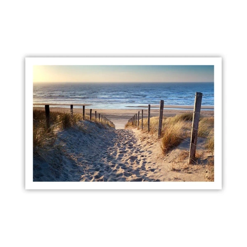 Plakat - Morza szum, ptaków śpiew, dzika plaża pośród traw… - 91x61 cm