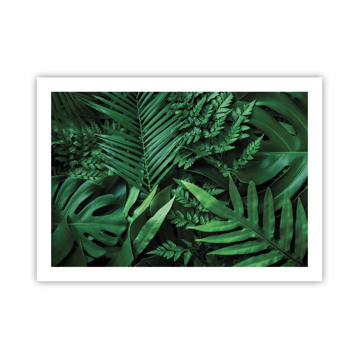 Plakat - Utulone w zieleni - 70x50 cm
