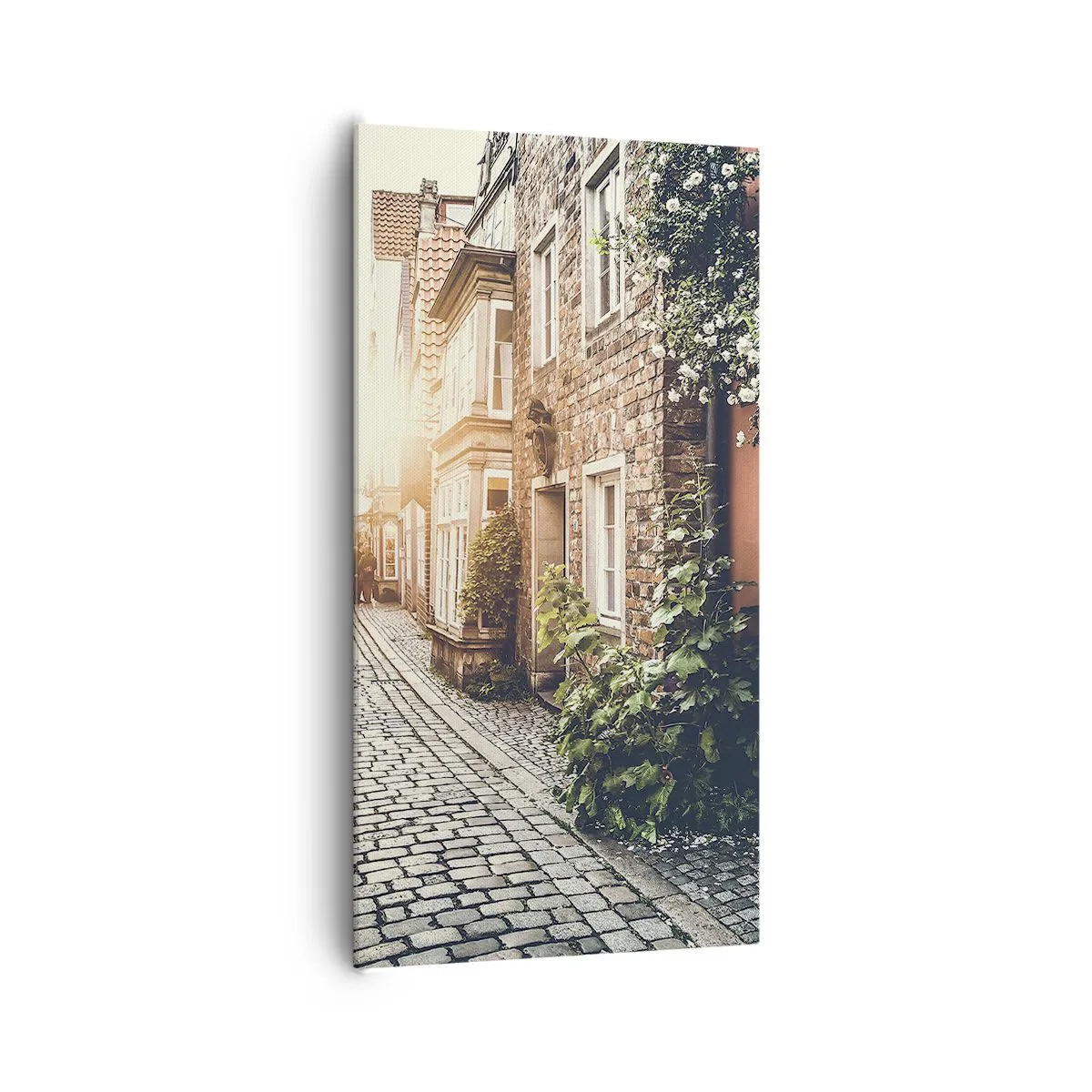 Obraz na płótnie - Różany zaułek w różowym blasku - 65x120 cm