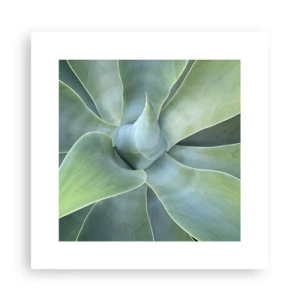 Plakat - Narodziny zieleni - 30x30 cm