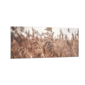 Obraz na szkle - Na polach już jesień - 100x40 cm