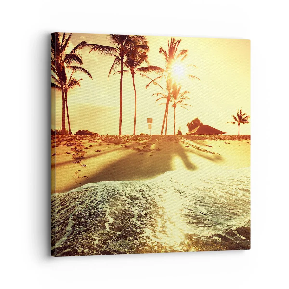 Obraz na płótnie - Kalifornijskie popołudnie - 30x30 cm