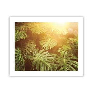 Plakat - W zieloność wstąpić… - 50x40 cm