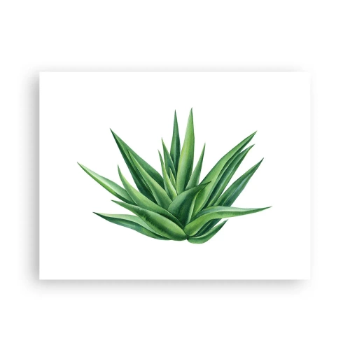 Plakat - Zieleń – siła – życie - 40x30 cm