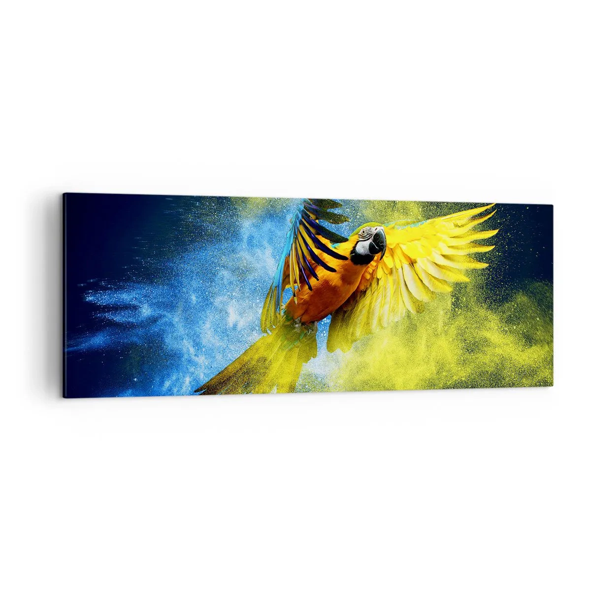 Obraz na płótnie - Papuga w locie na tle kolorowych eksplozji żółtego i niebieskiego - 140x50cm - W błękitno-złotym pyle - Nowoczesna dekoracja ścienna do salonu i sypialni ARTTOR