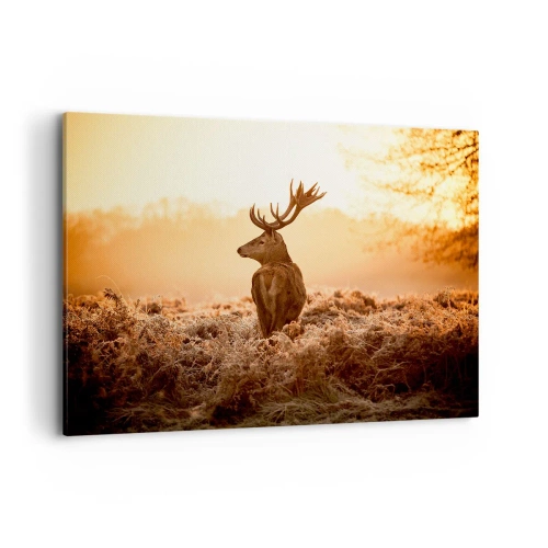 Obraz na płótnie - Jeleń w promieniach wschodzącego słońca - 100x70cm - Pan na włościach - Nowoczesna dekoracja ścienna do salonu, kuchni i sypialni ARTTOR