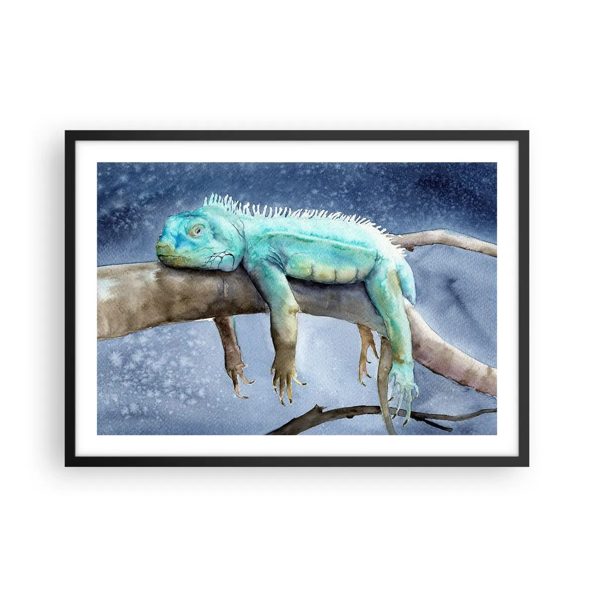 Plakat w czarnej ramie - Błękitna iguana odpoczywająca na gałęzi - 70x50cm - Jest dobrze! - Nowoczesna dekoracja ścienna do salonu i sypialni ARTTOR