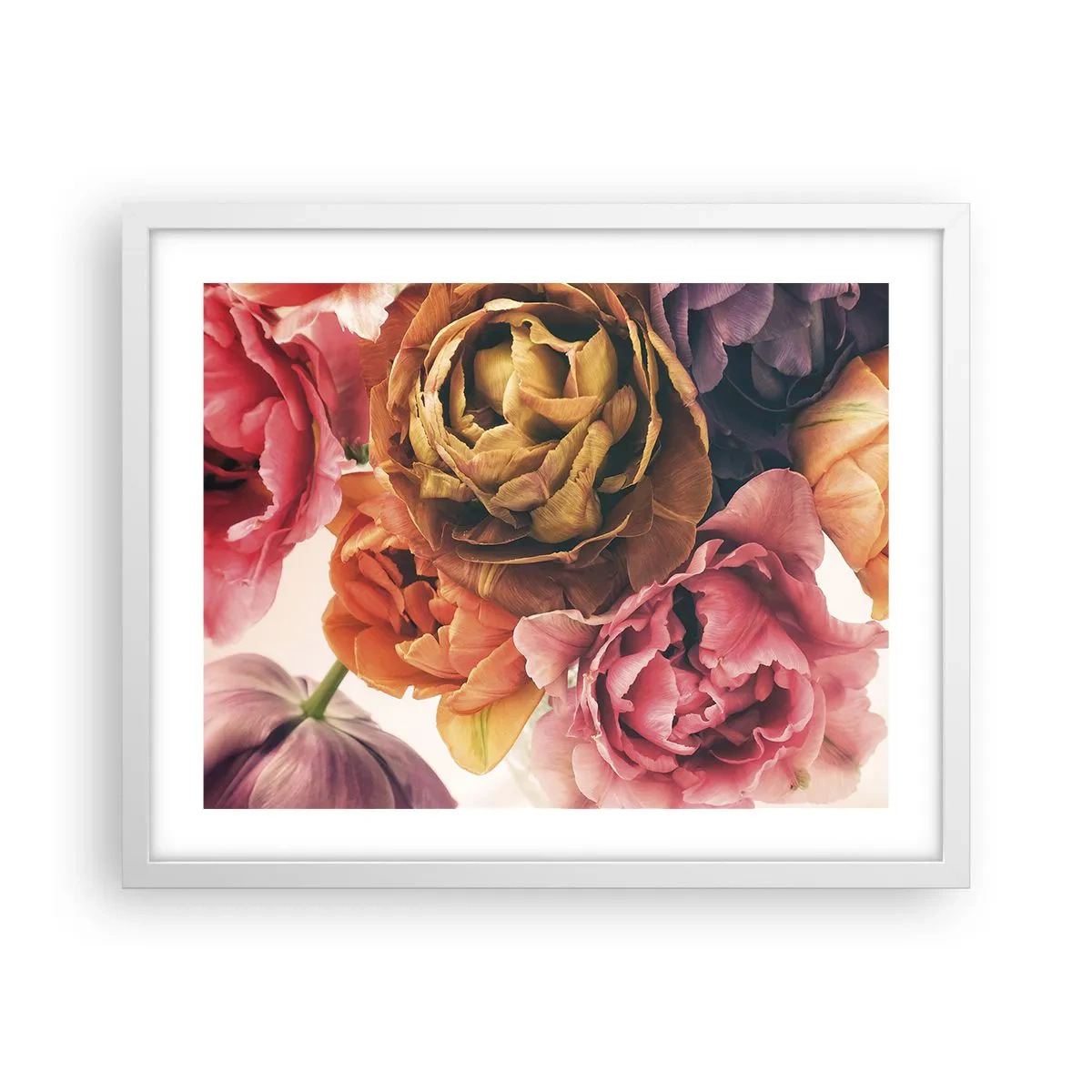 Plakat w białej ramie - Święto życia - 50x40 cm