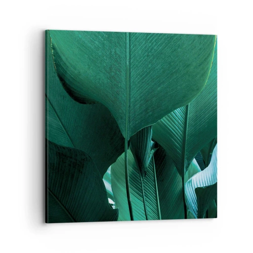 Obraz na płótnie - Zwrócone do światła - 70x70 cm