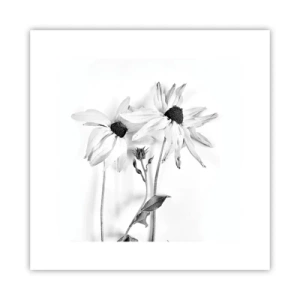 Plakat - Nikt nie chce być sam - 30x30 cm