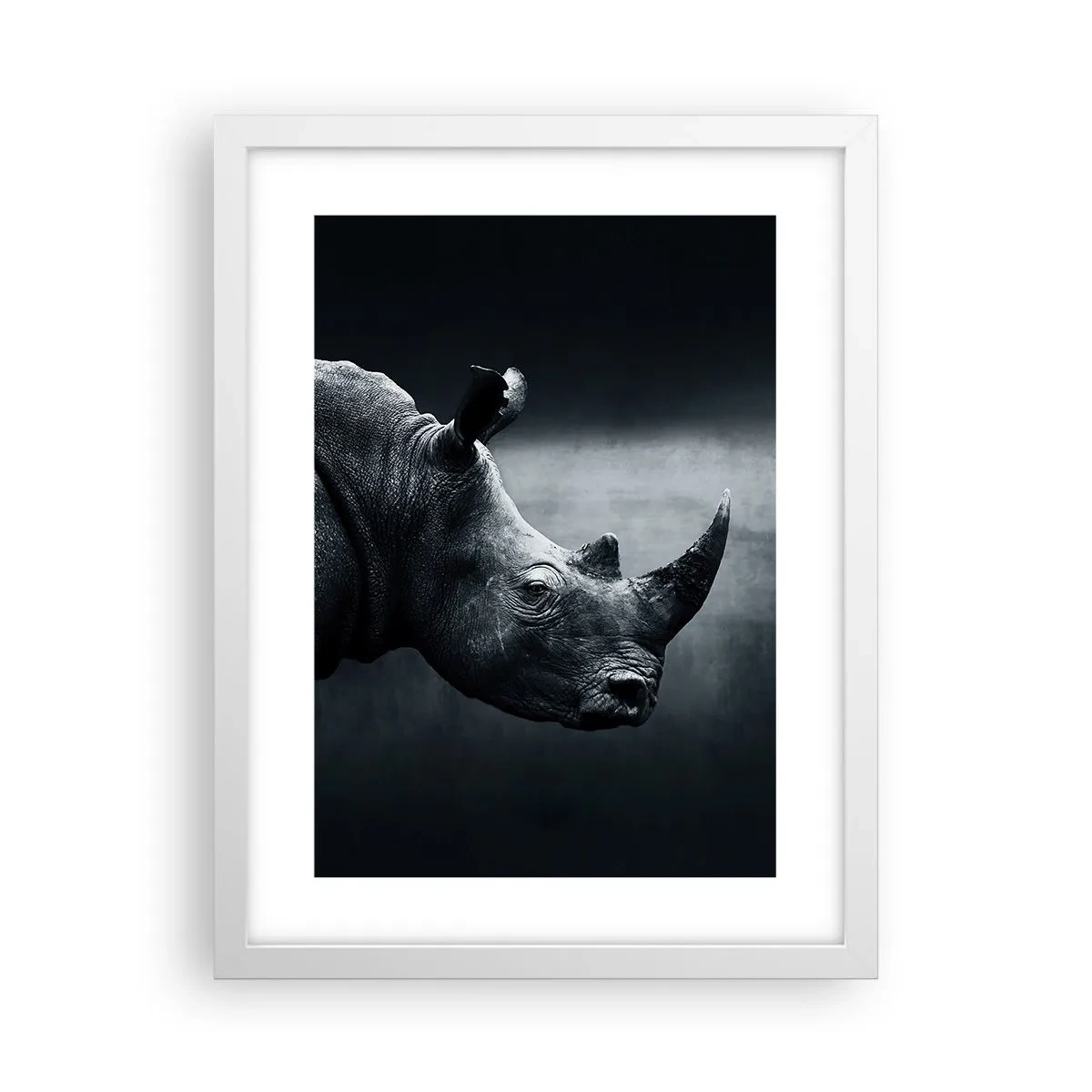 Plakat w białej ramie - Prawy profil - 30x40 cm