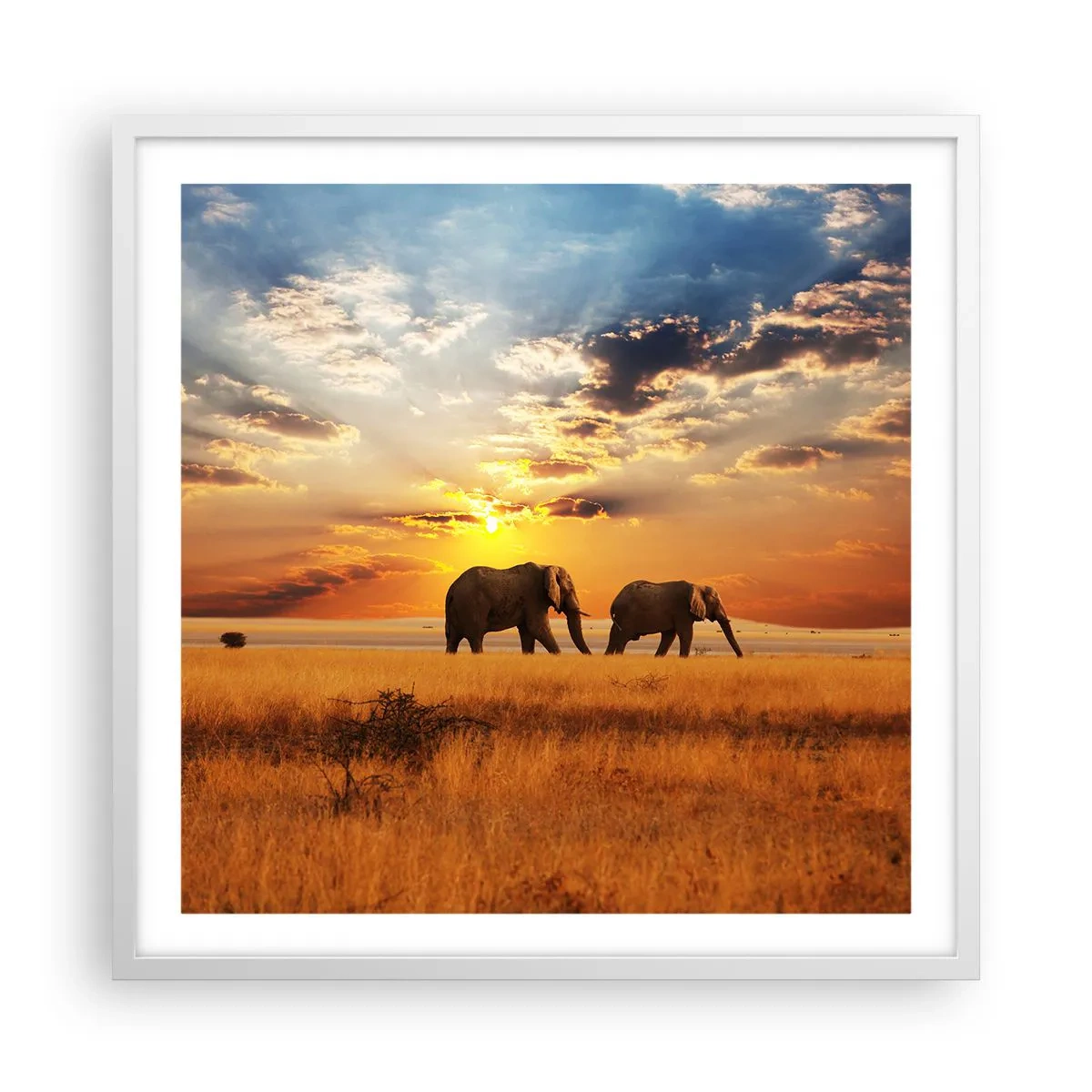 Plakat w białej ramie - Rodzinna przechadzka - 60x60 cm