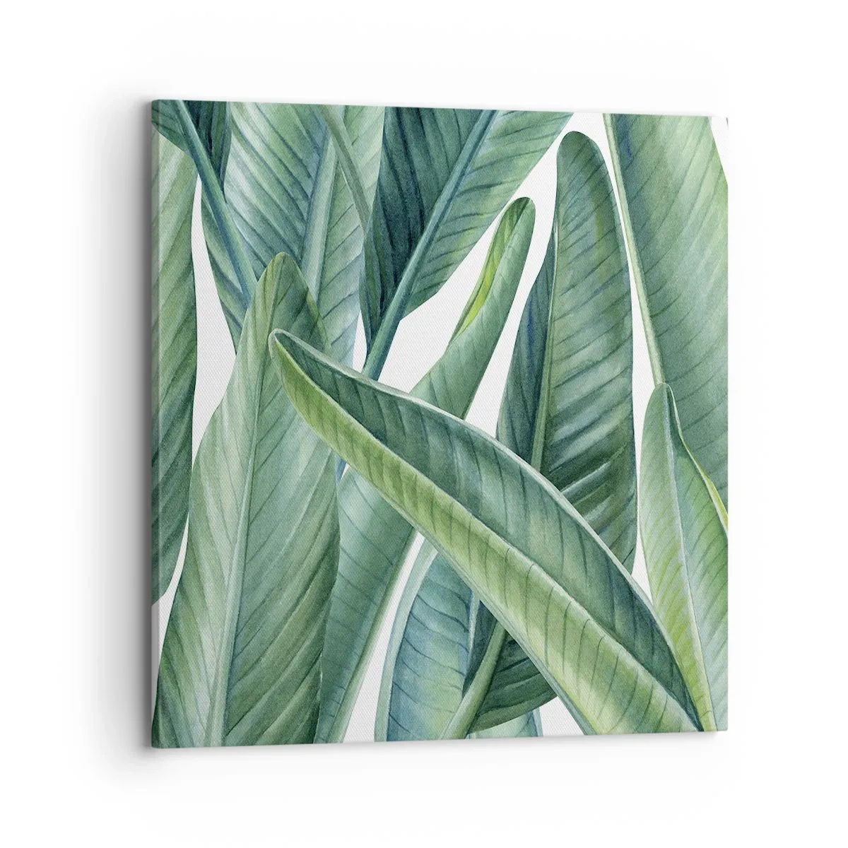 Obraz na płótnie - Zieleń sama w sobie - 70x70 cm