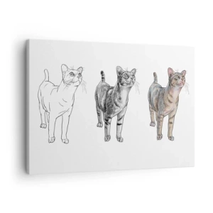 Obraz na płótnie - Ewolucja rysunku kota od szkicu do kolorowej formy - 70x50cm - Lekcja rysunku - Nowoczesna dekoracja ścienna do salonu i sypialni ARTTOR