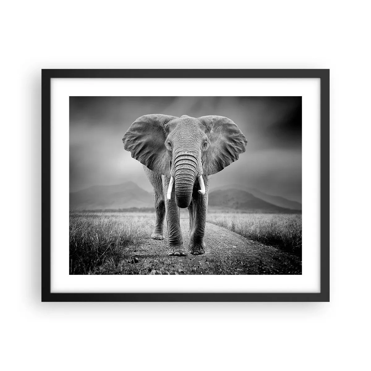 Plakat w czarnej ramie - Gospodarz wita - 50x40 cm