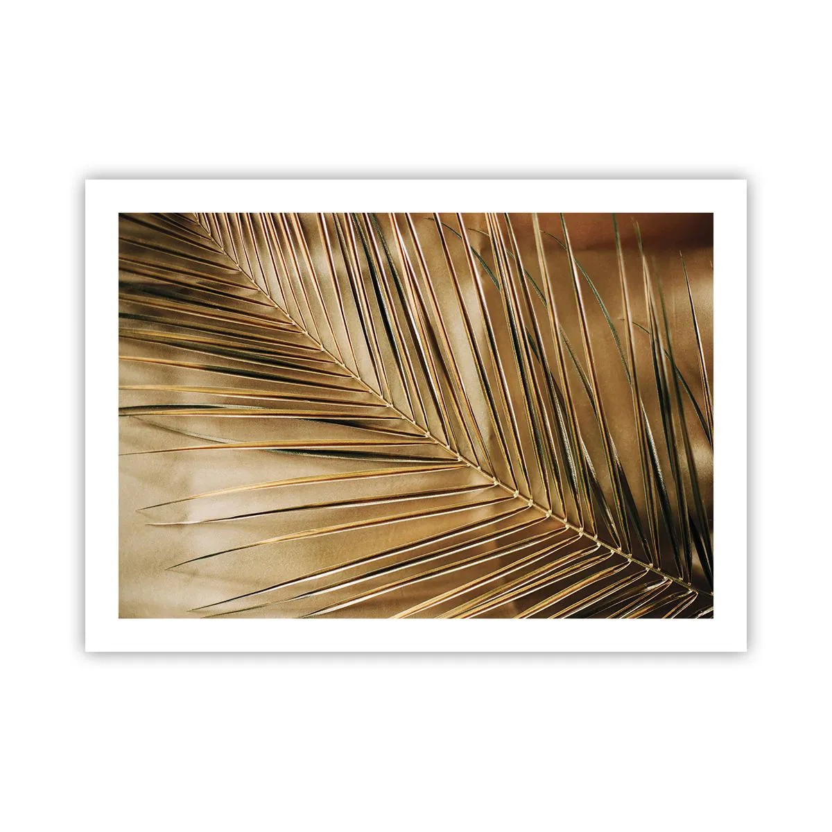 Plakat - Naturalna kolumnada - 70x50 cm