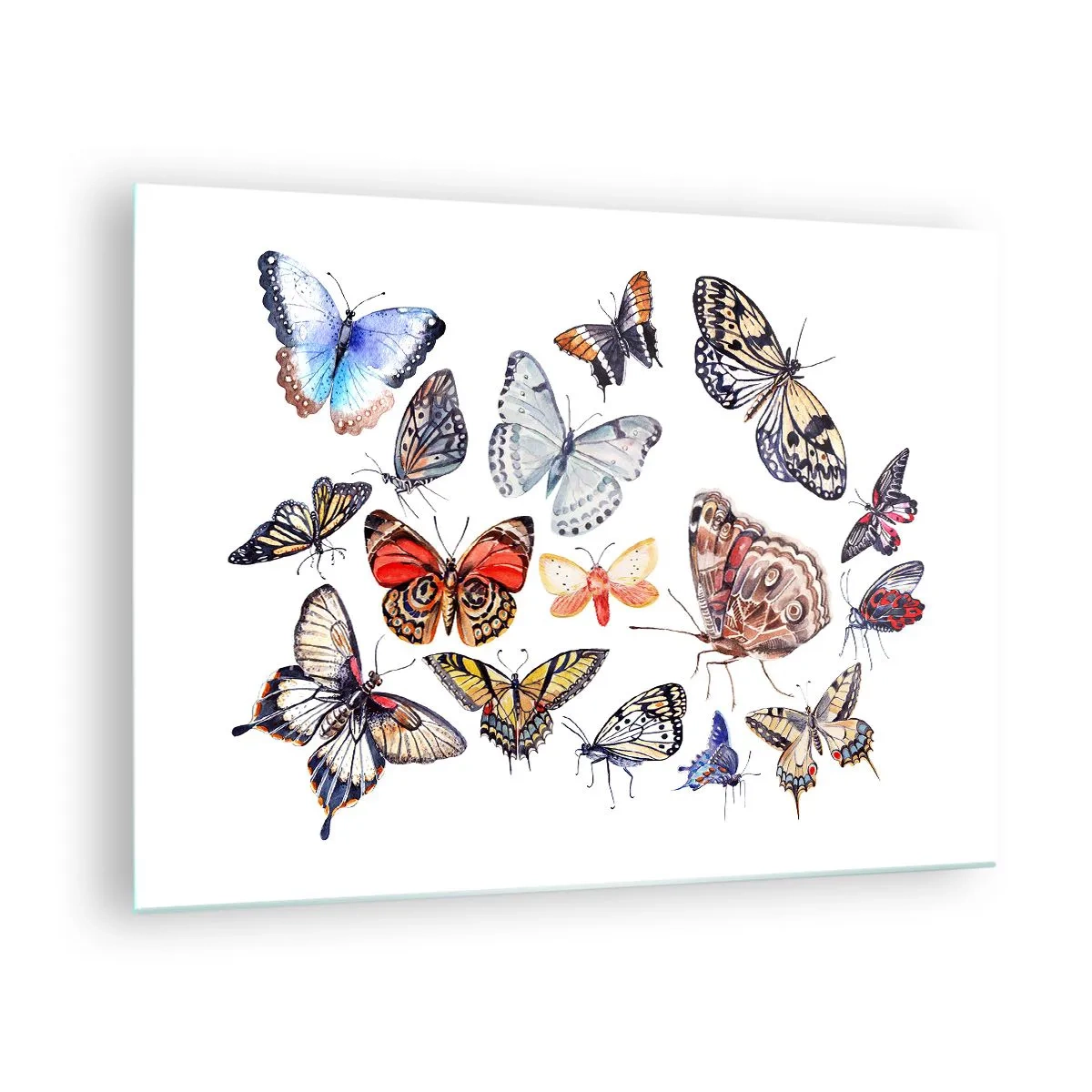 Obraz na szkle - Kolorowe motyle w artystycznej kompozycji - 70x50cm - Koronkowy, barwny rój - Nowoczesna dekoracja ścienna do salonu i sypialni ARTTOR
