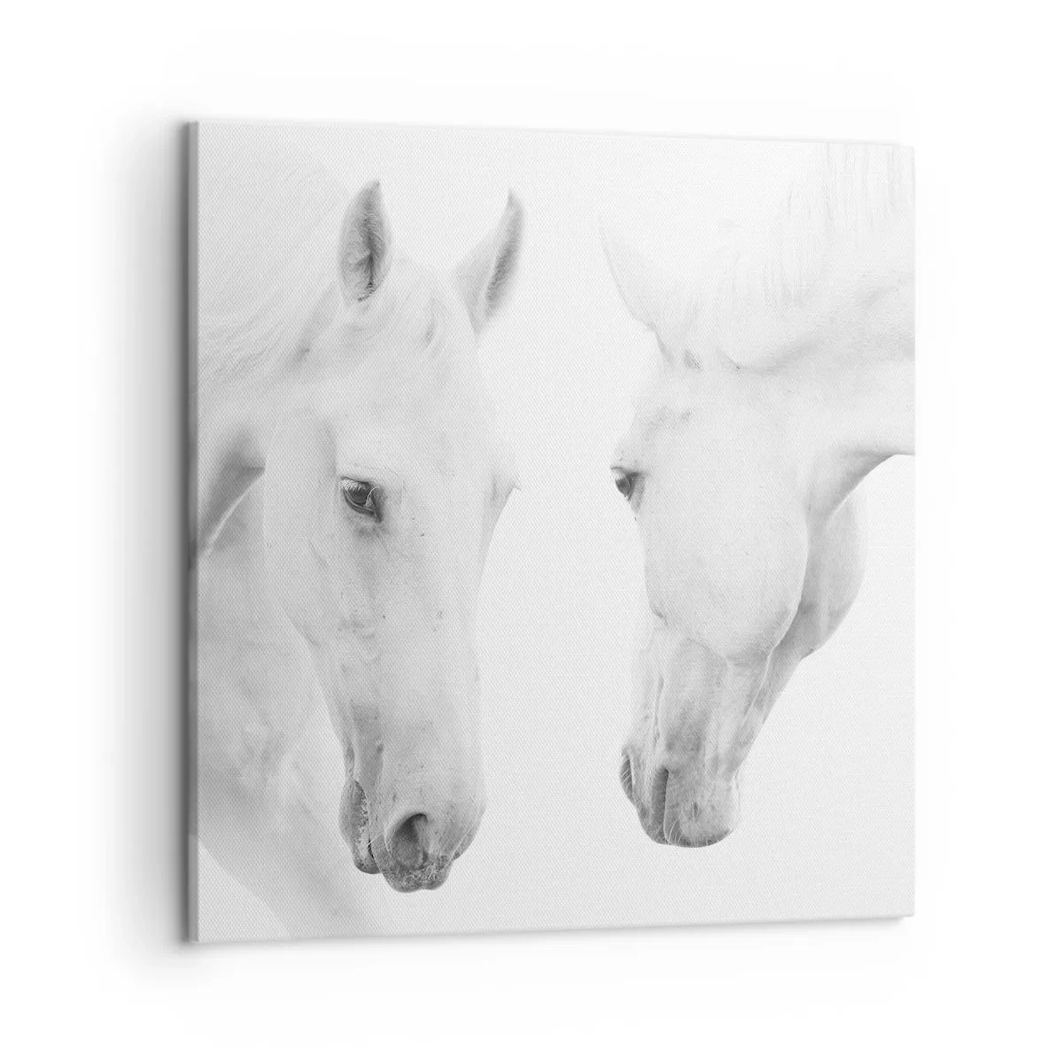 Obraz na płótnie - Czy to jest przyjaźń…? - 50x50 cm