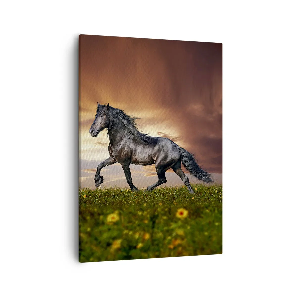 Obraz na płótnie - Czarny koń galopujący po łące o zachodzie słońca - 50x70cm - Czarny książę - Nowoczesna dekoracja ścienna do salonu, kuchni i sypialni ARTTOR
