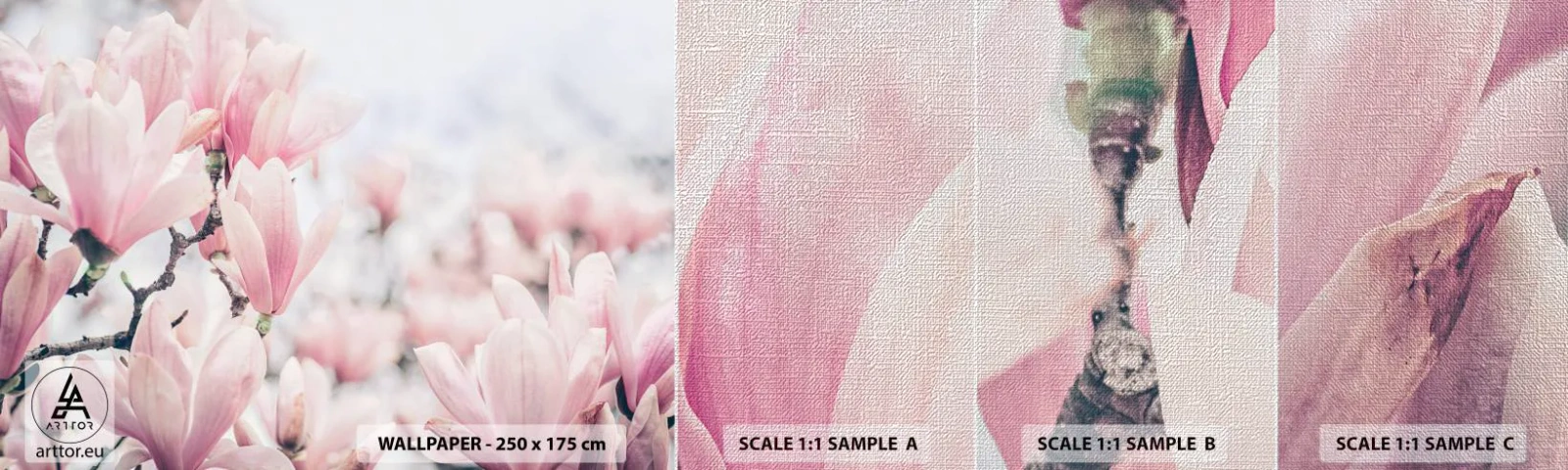 Fototapeta Próbka Premium Canvas - Ideał subtelności - Magnolia, Kwiaty, Drzewo Magnolii - 100x30 cm