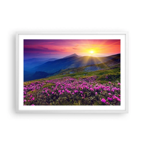 Plakat w białej ramie - … A dokoła pachnie kosodrzewina i wonieją zioła - 70x50 cm