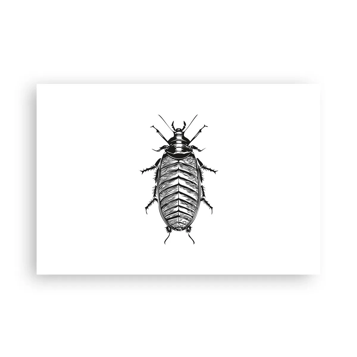 Plakat - Co za okaz! - 91x61 cm