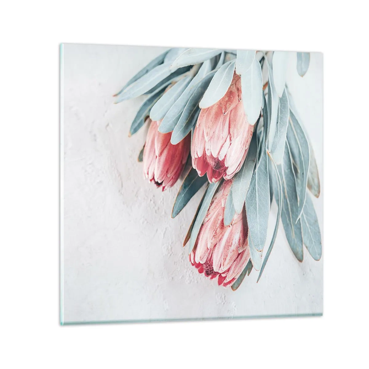 Obraz na szkle - Zawstydzone własną urodą - 60x60 cm