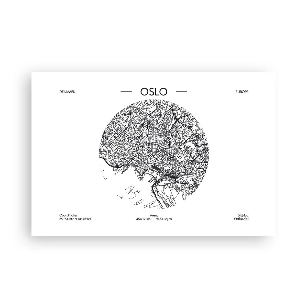 Plakat - Anatomia Oslo - 91x61 cm