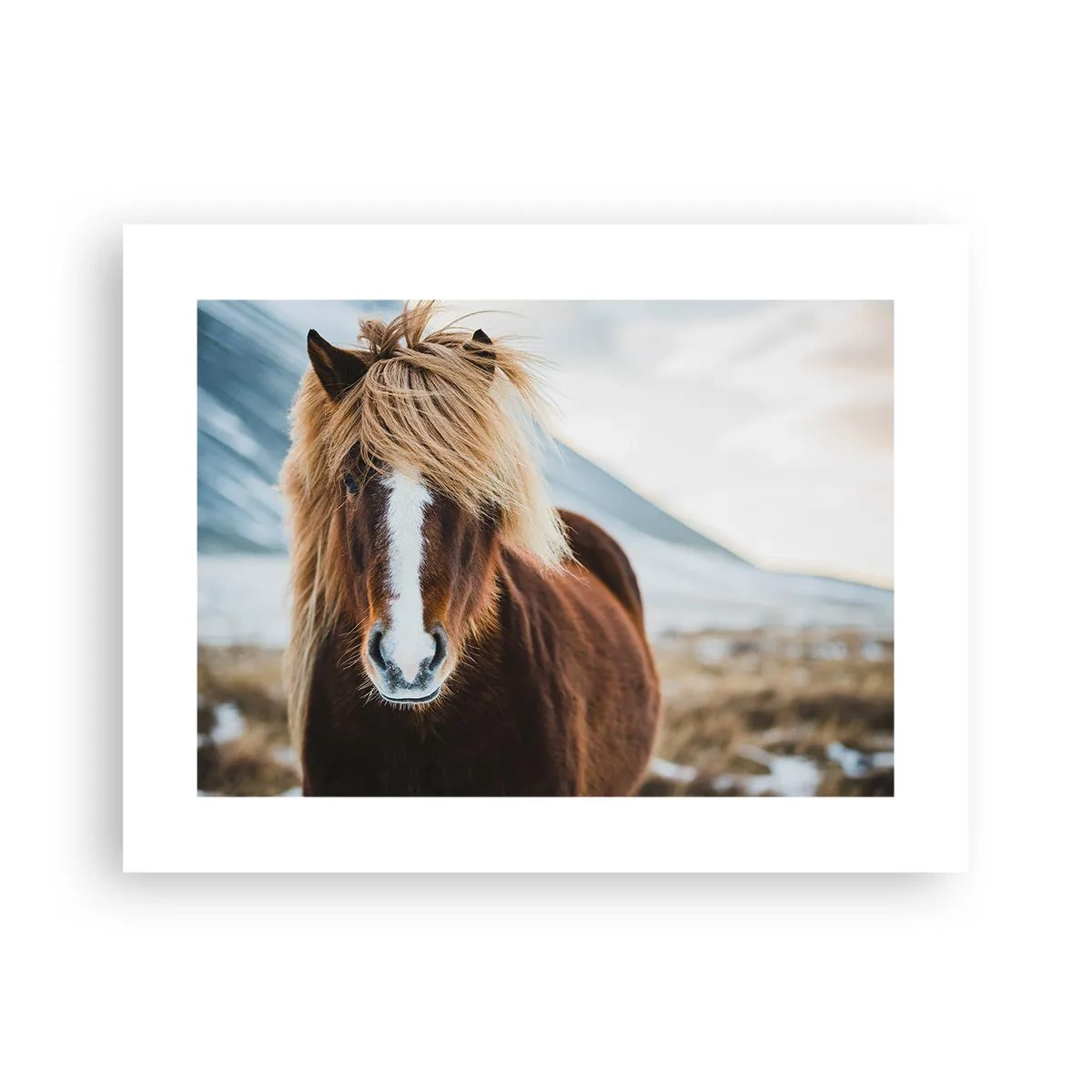 Plakat - Czujesz wolność? - 40x30 cm