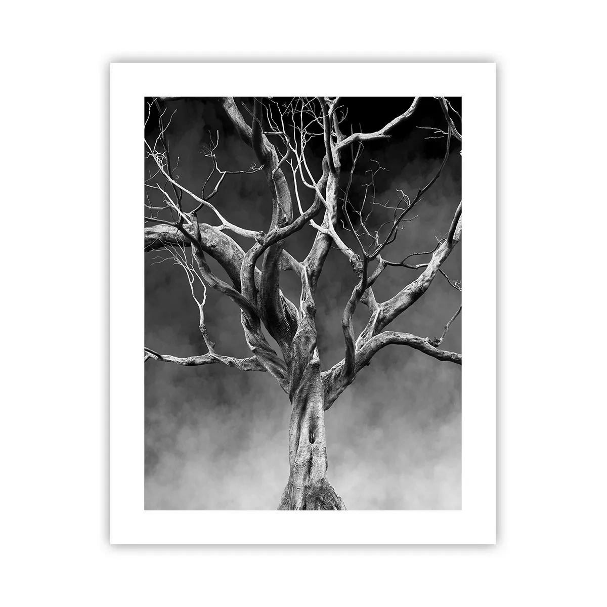 Plakat - Pierwotne i święte - 40x50 cm