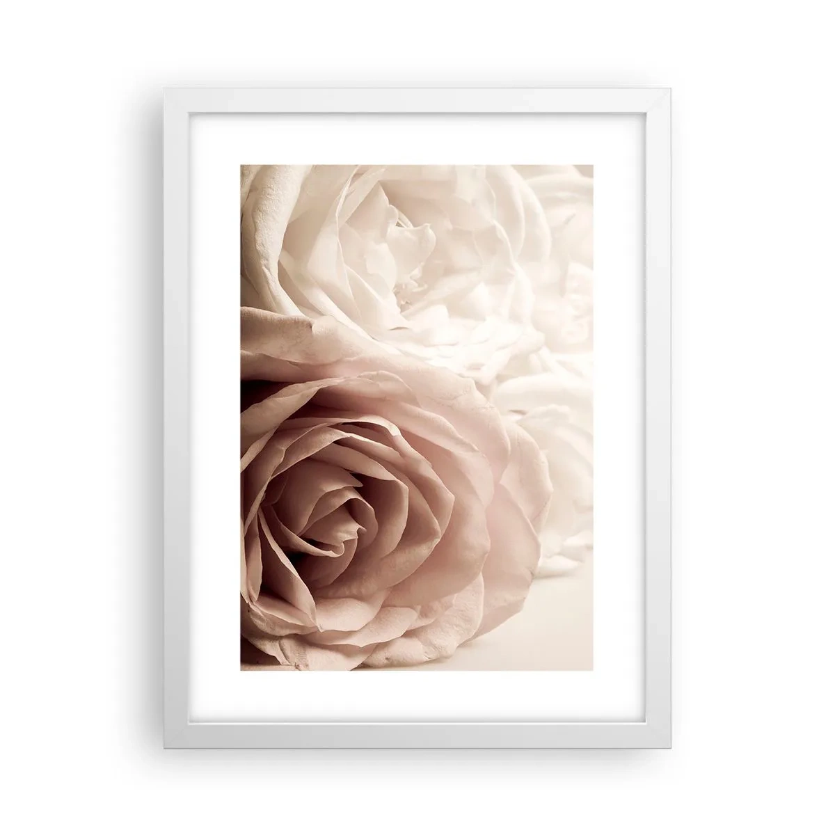 Plakat w białej ramie - W sercu róży - 30x40 cm