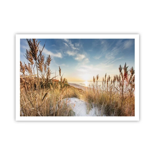 Plakat - Malownicza plaża z trawami i zachodzącym słońcem - 100x70cm - Północna plaża - Nowoczesna dekoracja ścienna do salonu i sypialni ARTTOR