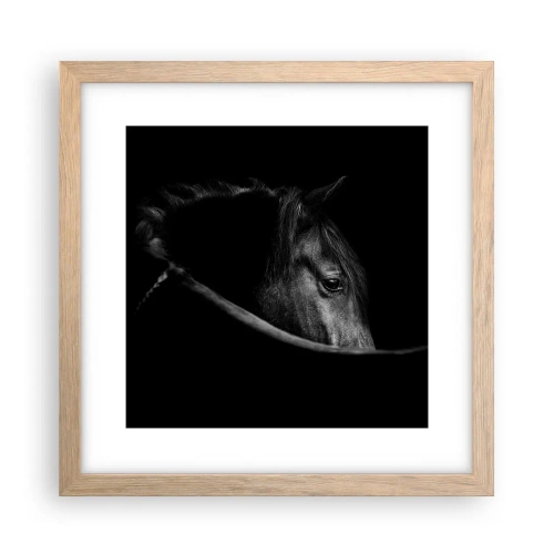 Plakat w ramie jasny dąb - Czarny książę - 30x30 cm