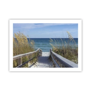 Plakat - W słońcu, na wietrze - 70x50 cm