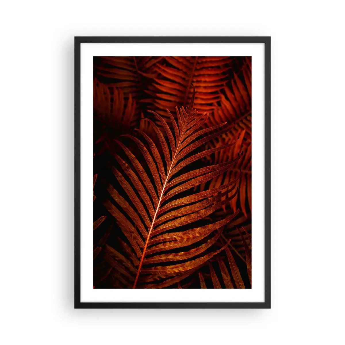 Plakat w czarnej ramie - Czerwone liście palmowe w artystycznym oświetleniu - 50x70cm - Żar życia - Nowoczesna dekoracja ścienna do salonu i sypialni ARTTOR
