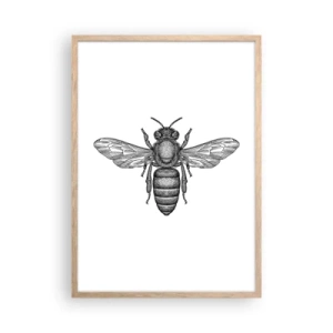 Plakat w ramie jasny dąb - Owadzi portret - 50x70 cm