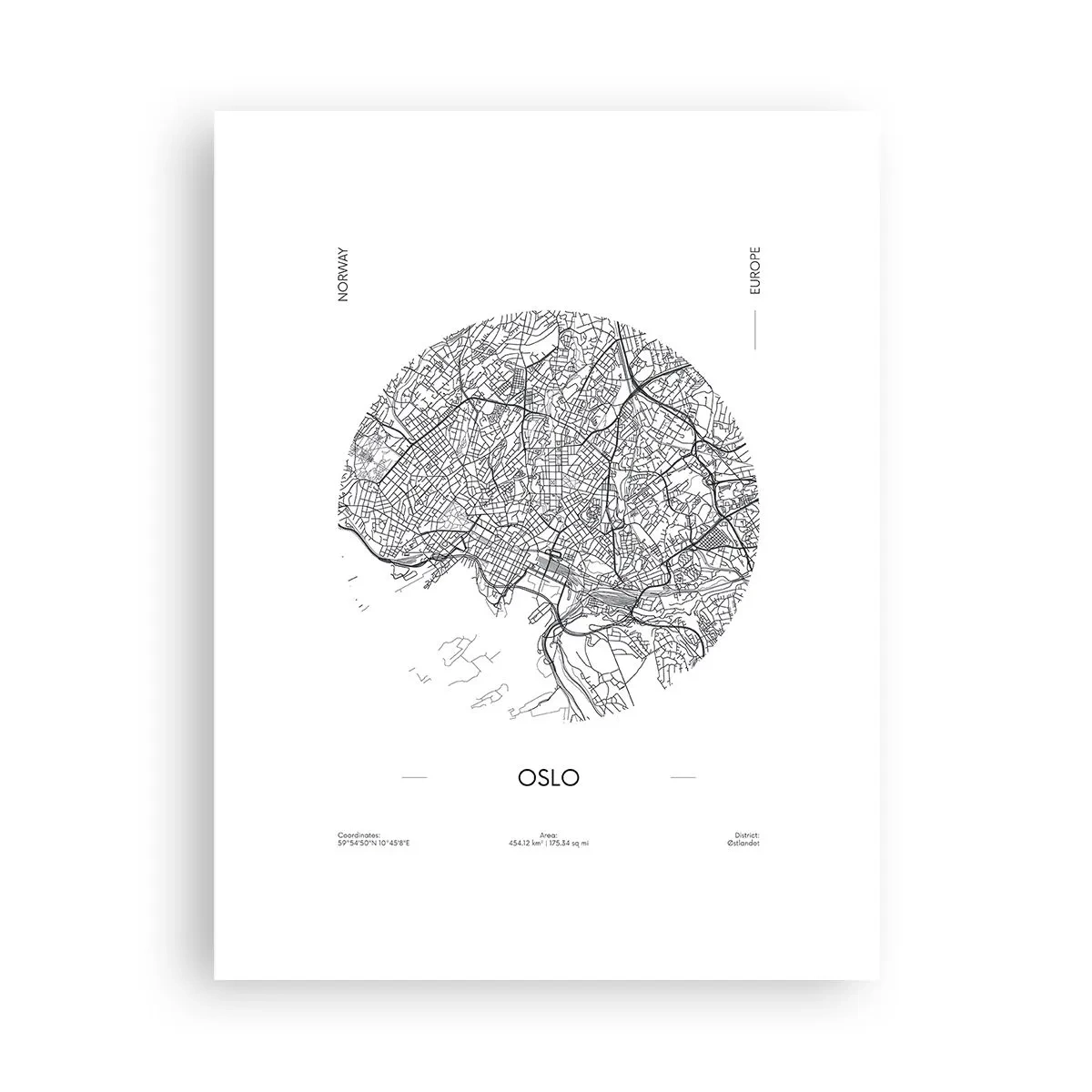 Plakat - Anatomia Oslo - 30x40 cm