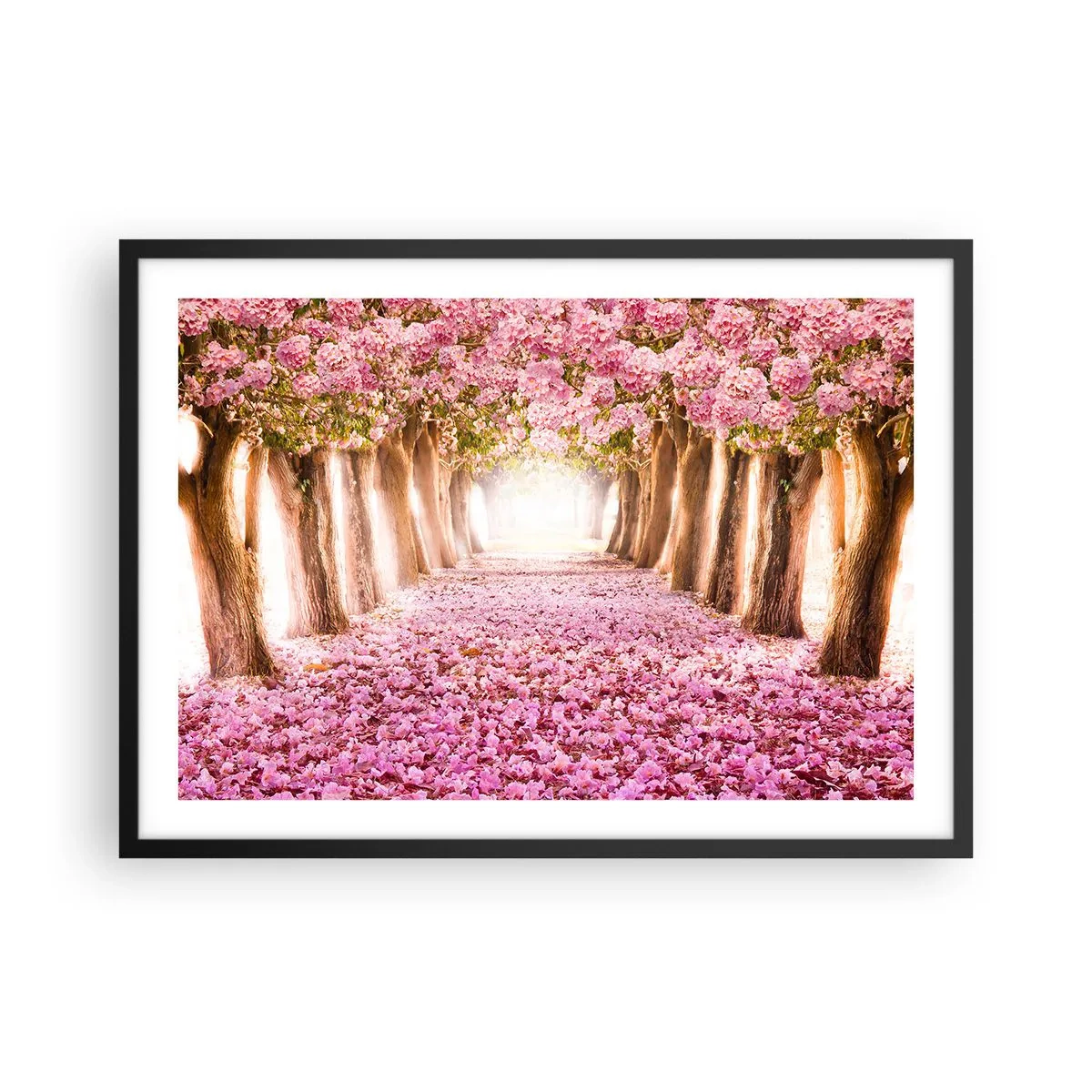 Plakat w czarnej ramie - Aleja kwitnących drzew w odcieniach różu - 70x50cm - Droga do raju - Nowoczesna dekoracja ścienna do salonu i sypialni ARTTOR