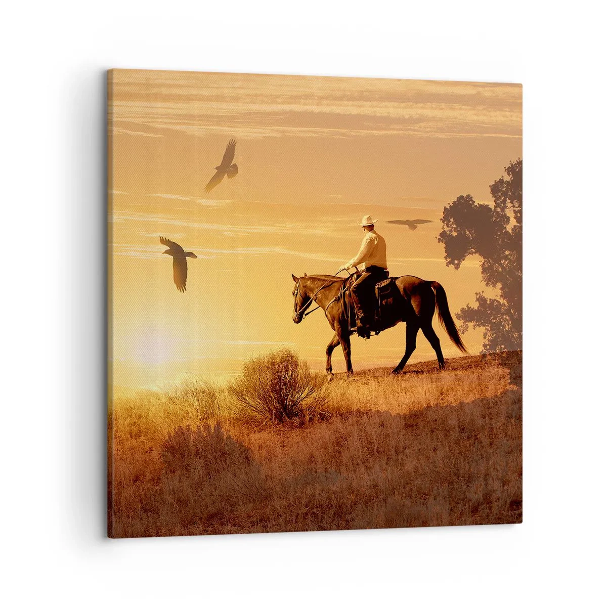 Obraz na płótnie - Samotnie przez prerię - 50x50 cm