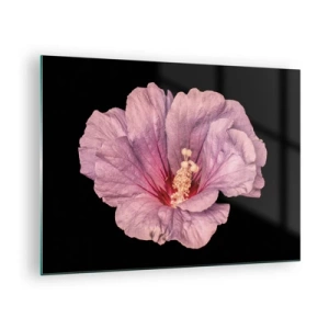 Obraz na szkle - Zbliżenie na różowy kwiat hibiskusa na tle czarnego tła - 70x50cm - Prosto do serca - Nowoczesna dekoracja ścienna do salonu i sypialni ARTTOR